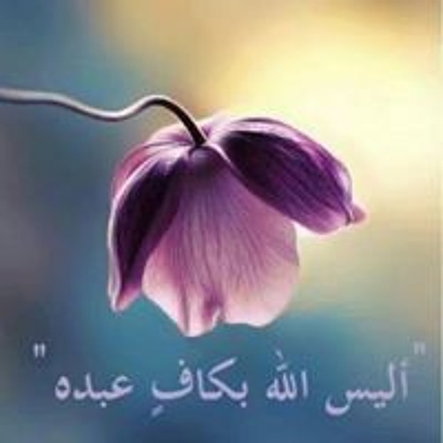 Walaa Alqaoud’s avatar
