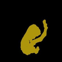 Used to be Vaze Haze