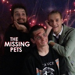 The Missing Pets
