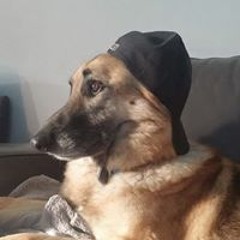 Jimmie Whittenbarger