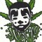 microjuggla