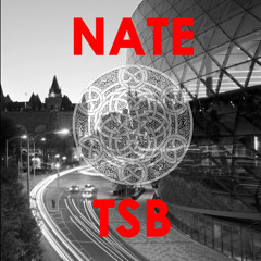 Nate TS Beats