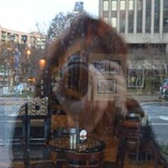 Brandy Trevino Clavijo