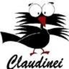 Claudinei Pardal