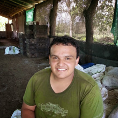 Froylan Arguedas