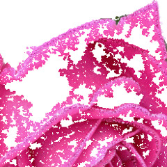 Jiuh97@gmail.com Ashraf