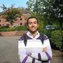 Mohamed Mostafa Badawy