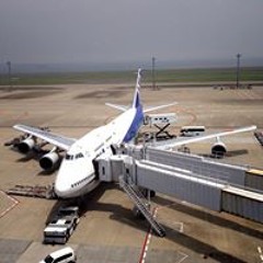 倉科なりた