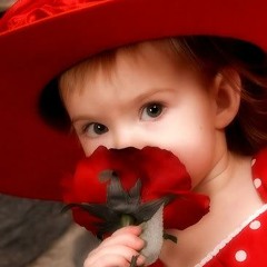 morye