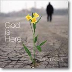 Andrew John Schoeman