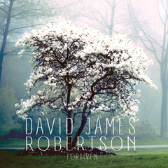 David James Robertson | Singer - Songwriter