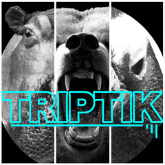 Triptik