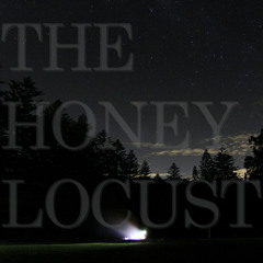 Honey Locust