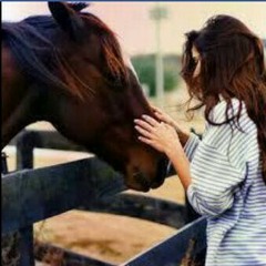 user380080388