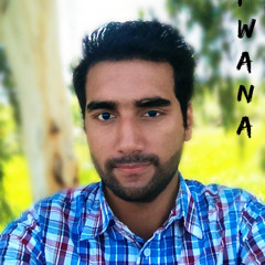 Saad Hassan Saeed Qureshi