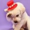 user270152438