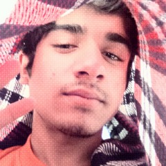 user222402166
