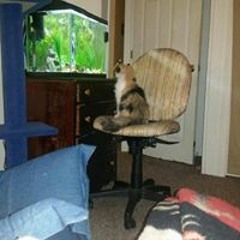 Danny Jennings Perry