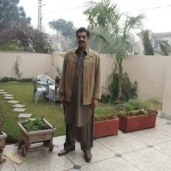 bilal ashraf