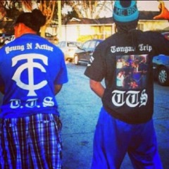 TGANG_TRIPPIN510