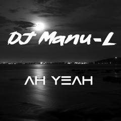 DJ Manu-L