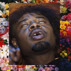 plantmami