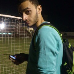 anas sleem