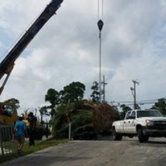 Brandon Primetime Dames