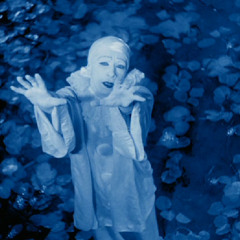 Lucrelita Beerenbaum