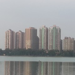 2016抒情