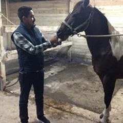 Audelio González Venegas