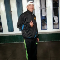 Coringa1533 Felipe