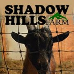 Shadow Hills Farm