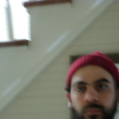 Year of the Flying Dog