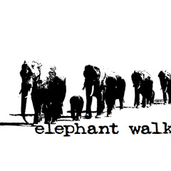 The Elephant Walk Archive