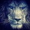 Adrian Lions