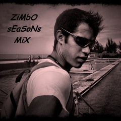 Ben Vermeulen (ZIMBO)