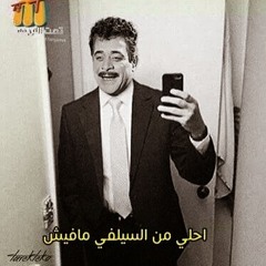 el shap7 2wy