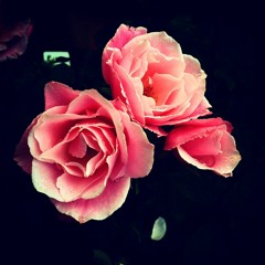 Sebastian Spazz Pieterse