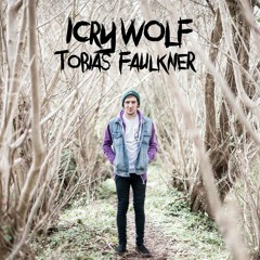 TobiasFaulknerACOUSTIC