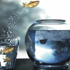 Chỉ Cần Có Em