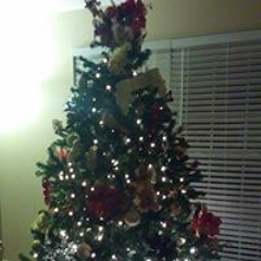 Cecilia Waters Polanco