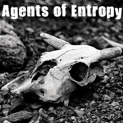 Agents of Entropy
