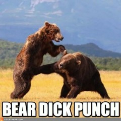 Bear D*ck Punch