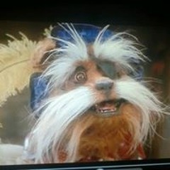 Johannes Brandenburg