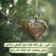 ramy mohamed