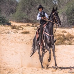 alqassimi44