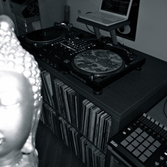 DJ SHADOWFIST