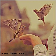 Emad Rizk