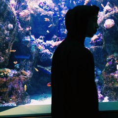 lord muthafuckin waffle